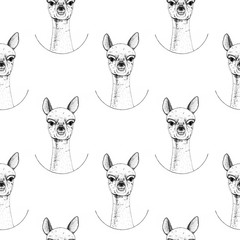 Graphic seamless pattern with a Alpaca on a white background. Illustration for cafes, kitchens, t-shirts, mugs, fabrics