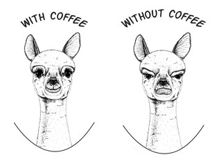 A graphic illustration with a Alpaca on a white background, the inscription "with coffee" and" Without coffee " - elements. Illustration for cafes, kitchens, t-shirts, mugs, fabrics