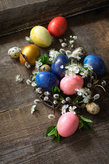 Colored Easter eggs in the nest with spring flowers on a gray wooden background.