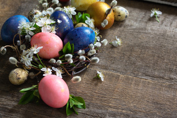 Colored Easter eggs in a nest with willow branches and spring flowers on a gray wooden background. Copy space.