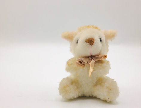 lovely teddy bear isolated on white background