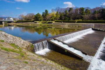 Springtime at Katsura river