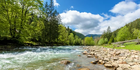 Fluss in den Bergen. wunderbare frühlingslandschaft der karpatenlandschaft. blaugrünes Wasser zwischen Wald und felsigem Ufer. Holzzaun am Flussufer. sonniger Tag mit Wolken am Himmel