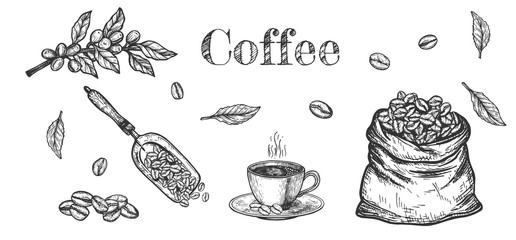 Aroma coffee beans objects set - obrazy, fototapety, plakaty