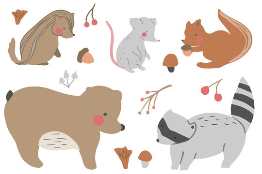 A set of hand drawn cute woodland animals. Racoon, bear, mouse, chipmunk, squirrel . Vector collection perfect for childish decoration clothes, patterns, stickers, cards