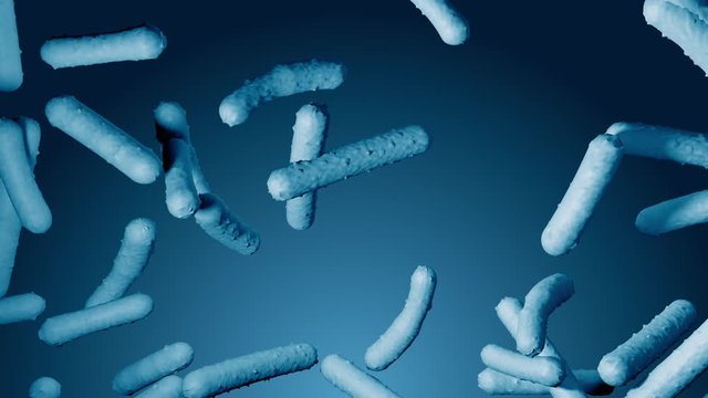 Probiotic lactobacilli under microscope. Scientific 3d medical render of bacterias floating on gradient blue background. Bifidobacterium cells moving. Macro view