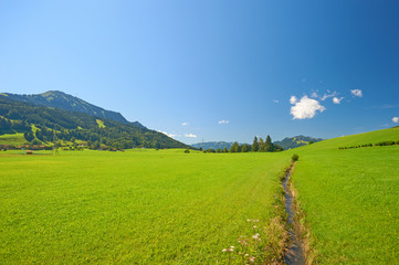 Weideland vor dem Grünten im Allgäu