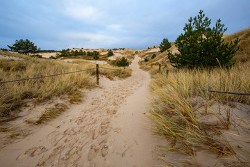 Dunes in the Slowinski National Park. Landscape with beautiful sky, clouds and dunes in the sun....