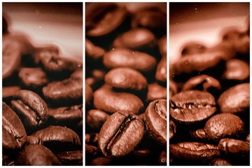 Coffee Beans-vertical tryptich