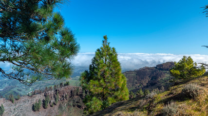 mountains of gran canaria island