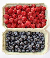 Background of raspberry and blueberry in packing containers, cardboard boxes with berries, red and blue fruit in package, closeup.