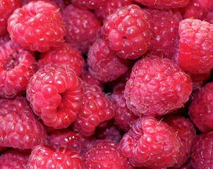 Natural background of sweet raspberry, fresh and ripe red berries, closeup photo.