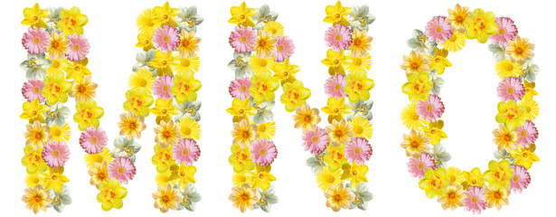Letters of flowers. M, N, O. Yellow, white and pink flowers: daffodils, gerberas, daisies. Bright creative concept, white background. English alphabet. The concept of congratulations, spring, summer.