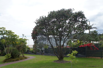 New Zealand Waiheke Island