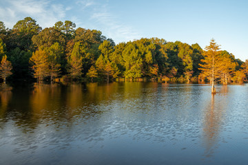 Trees line the water ways of Broken Bow, Oklahoma.