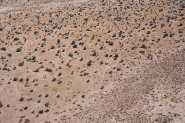 Arid Savanna Aerial Background with Bushes and Trees on an Arid Plain, an Abstract Drone Shot with Copy Space