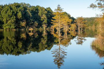Trees line the water ways of Broken Bow, Oklahoma.
