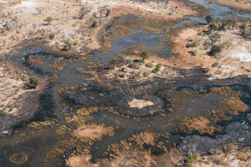 Fototapeta na wymiar Okavango Delta Aerial in Dry Season with River or Swamp, Trees and Arid Savanna