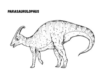 Parasaurolophus dinosaur hand drawn sketch. Vector illustration. Herbivorous dinosaur.