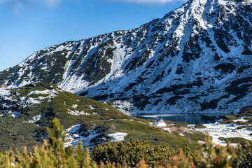 Panorama z widokiem na góry i staw w Dolinie Pięciu Stawów. Kosodrzewina górska. Szlak górski....