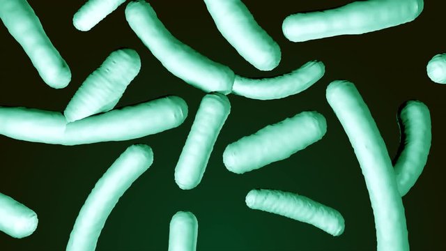 Probiotic lactobacilli under microscope. Scientific 3d medical render of bacterias floating on gradient green background. Bifidobacterium cells moving and vibrating. Macro view of fermented foods