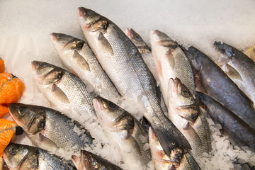 Yellowtail fish chilled on a background of white ice. Seafood, fish, useful products.