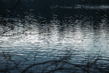 gekräuselte Wasseroberfläche eines Sees mit dunklem satten blau und ästen im vordergrund