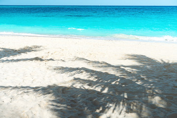 Panoramic view of a beautiful sunny day and palm sadow on sandy beach.