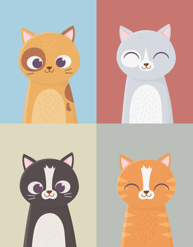 pet cats domestic feline characters set cartoon