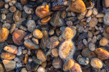 Sea rocks on the beach