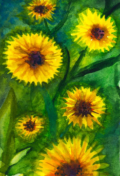 Hand drawn watercolor sunflowers for a post card design. Summer mood.