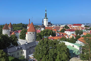 Obraz premium Tallinn, Estonia. Dolne Miasto z kościołem św. Olafa, katedrą Przemienienia Pańskiego, wieżami murów miejskich w Tallinie i w tle Zatokę Bałtycką. Widok z platformy widokowej Patkuli.