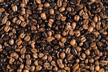 Gracnos de café de diferentes tuestes