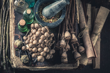 Extraordinary herbalist laboratory with ingredients and herbs