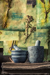 Extraordinary herbalist workshop with plant descriptions and dried cards