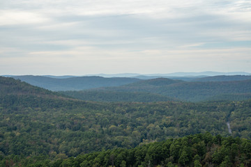 Forrest in Hot Springs National Park, Arkansas.