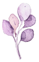 Watercolor hand painted floral wreath clipart. Can be used for pattern, print, fabric, textile design, logo