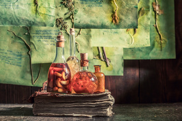 Unique herbalist workshop with plant descriptions and dried cards