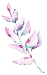 Watercolor hand painted floral wreath clipart. Can be used for pattern, print, fabric, textile design, logo