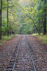 Fototapeta premium Trees line the waterways of Broken Bow, Oklahoma. 