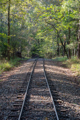 Obraz premium Railroad tracks run through the woods in Broken Bow, Oklahoma.