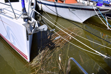 environment trash bottles in Leisure port, sports port Marina de las Dunas in Guardamar del Segura,...