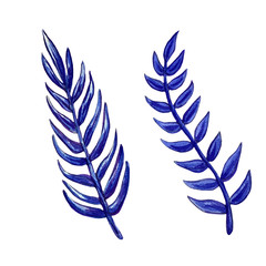 Fototapeta premium Watercolor blue exotic leaves painting. Hand painted exotic leaves illustration for summer design.