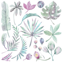 Fototapeta na wymiar Watercolor hand painted tropical clipart. Green leaves on white background. Perfect for scrapbooking paper, textile design, fabric, wallpaper, wrapping paper, wedding decoration