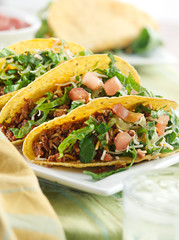 closeup taco meal