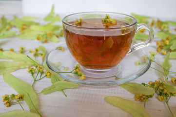 Tea. green Tea. Herbal tea. Mint leaf. Tea with apple flavor. Tea in a glass cup with apple blossoms and leaves dried tea sliced lime. herbs tea and mint leaves on a slate plate in a restaurant or tea
