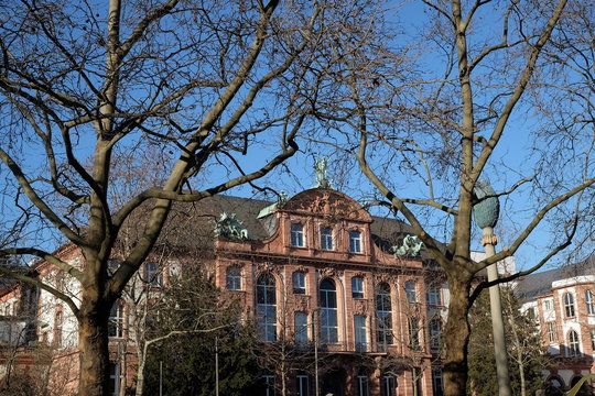 Senckenberganlage mit dem Senckenbergmuseum vor blauem Himmel im Winter mit kargen B&auml;umen bei Sonnenschein im Stadtteil Bockenheim am Westend von Frankfurt am Main in Hessen