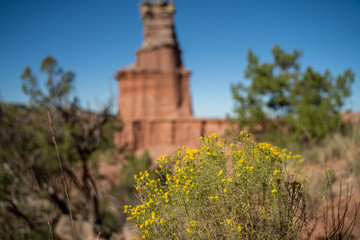 Spectacular views around Palo Duro Canyon State Park, Texas. 