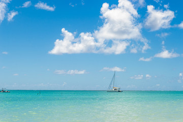 Obraz premium Beaches of Brazil - Maragogi - Ponta de Mangue Beach - Alagoas