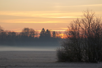 Obraz premium colorful sunrise over the edge of the forest